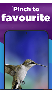 4D Hummingbirds Wallpaper