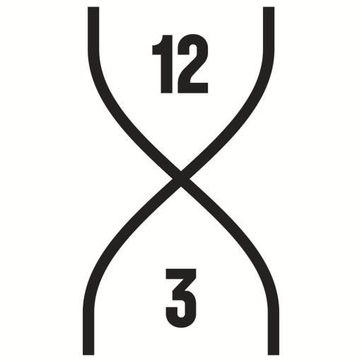 12x3 Boxing logo
