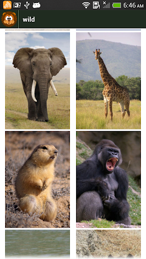 Animal Sounds Screen 3