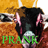 Sudden Goat Prank icon