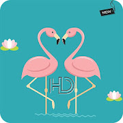 Cute Flamingo Wallpapers New