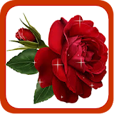 Gardening Rose icon
