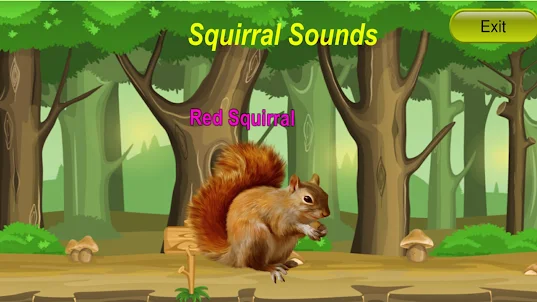 Squirrel Jungle Tones Bird