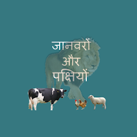 Learn Animals and Birds in Hindi - Quiz