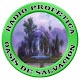 Radio Profetica Oasis de Salvacion Laai af op Windows
