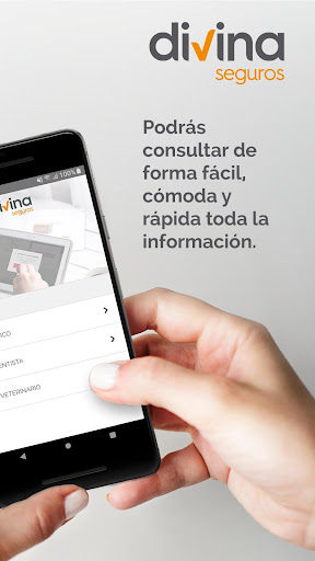 Divina Seguros Screen 2