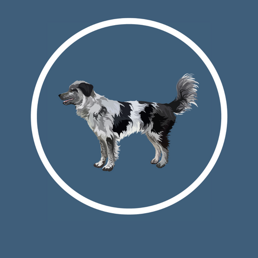 Canine Conditioning logo