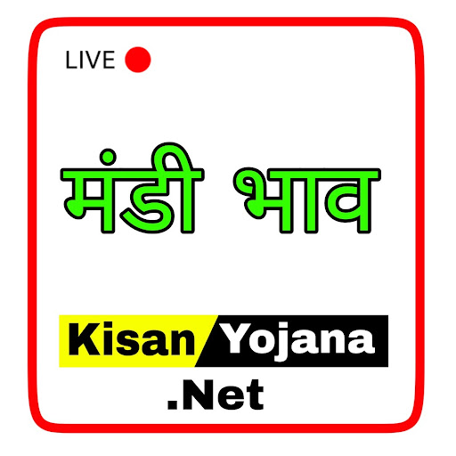 Mandi Bhav Screen 3