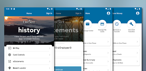 Element FCU - Biz Banking