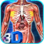 Cover Image of Baixar Female Anatomy 3D : Female Body Visualizer 1.8 APK