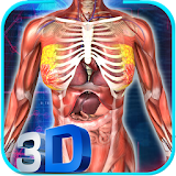 Female Anatomy 3D : Female Body Visualizer icon