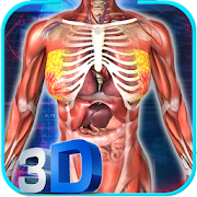 Top 36 Education Apps Like Female Anatomy 3D : Female Body Visualizer - Best Alternatives