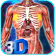 Female Anatomy 3D : Female Body Visualizer Descarga en Windows