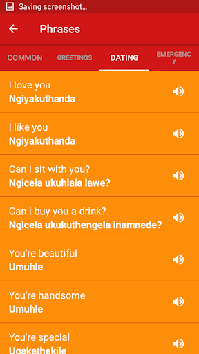 Learn Ndebele Screen 3