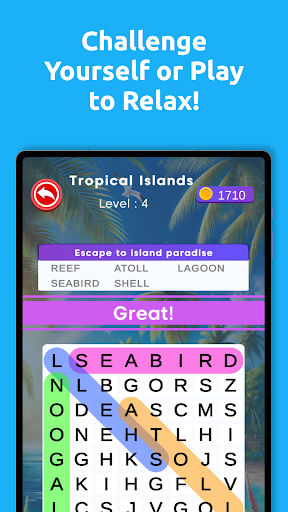 WordSearch Adventures