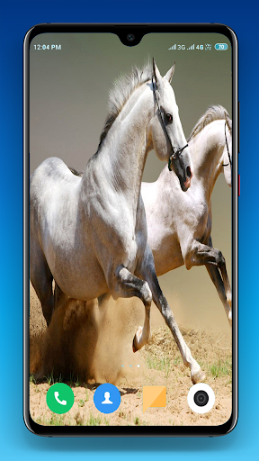 Horse Wallpapers 4K