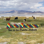Cover Image of Unduh Radio Altiplano  APK