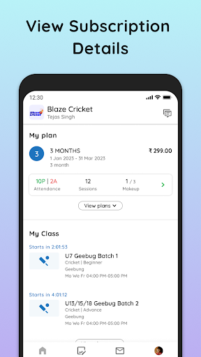 Blaze Cricket Screen 3