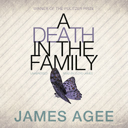 Icon image A Death in the Family