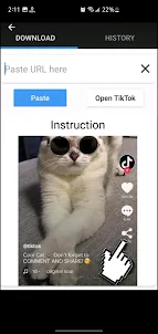 Tik Tok Fast Downloader