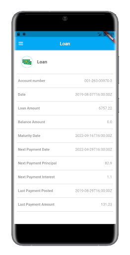 Mesenieng Credit Union Screen 2