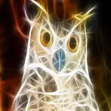 3D Owl icon