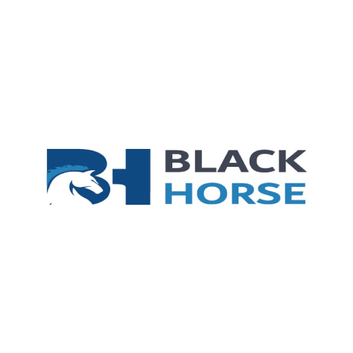 BH Store Logo