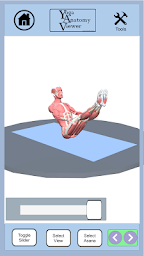 Yoga Anatomy Viewer