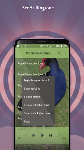 Purple Swamphen Sounds Screen 2