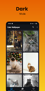 Cats wallpapers