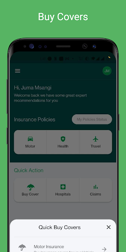 Strategis Insurance Screen 2