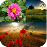 Cute Nature Wallpapers icon