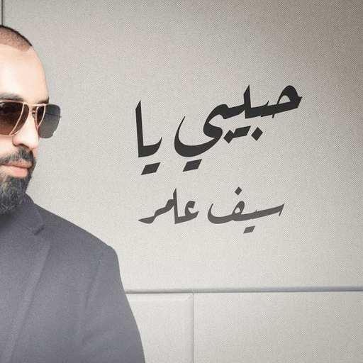 جميع اغاني سيف عامر Download on Windows