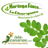 Moringa Bio Finca icon