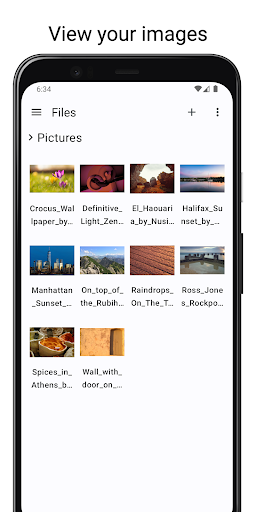 Screenshot of Files