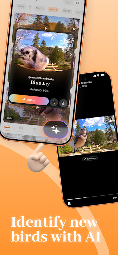 PeckPerk screenshot 3