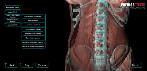 3D Human Anatomy Pro Screen 3
