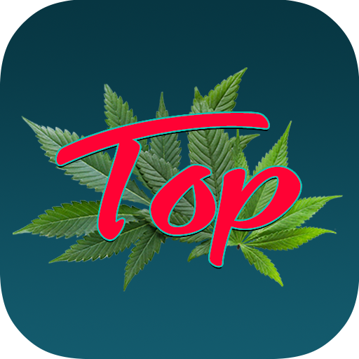 Topgras Cannabis Community Download on Windows