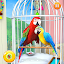 Pet Parrot Family Simulator