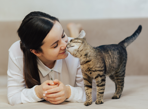 Android application International Cat Day 2023 screenshort