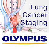 Lung Cancer Staging Table icon
