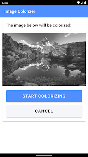 Image Colorizer - Colorize B&W Screenshot