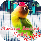 Masteran Lovebird Ngekek icon