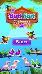 Color Bird Sort Puzzle Games