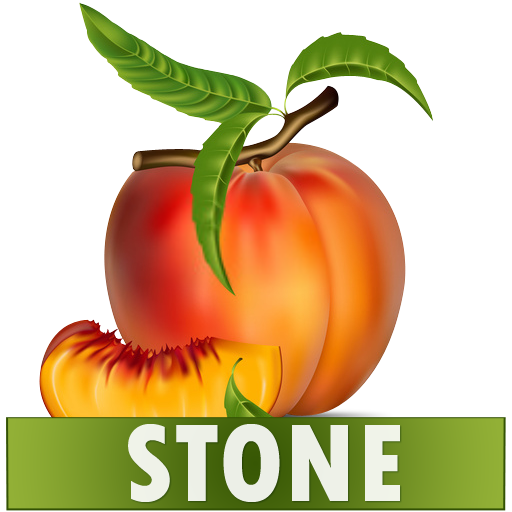 Stone Diet Renal Gall Bladder   Icon