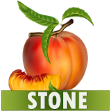 Stone Diet Renal Gall Bladder Kidney Gallbladder icon