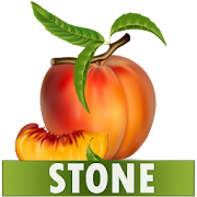 Stone Diet Renal Gall Bladder Kidney Gallbladder