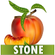 Stone Diet Renal Gall Bladder