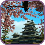 Spring Sakura Blossom Video Wallpaper