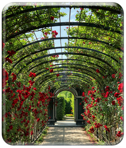 Garden Wallpaper HD Screen 2